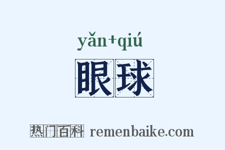 眼球是什么意思的图片